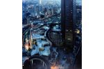 Top 10 Largest Cities in the World