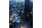 Top 10 Largest Cities in the World